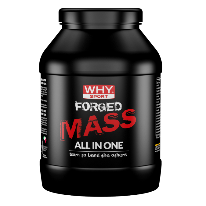 Why Sport Forged Mass All in One 1 kg Gusto Cacao
